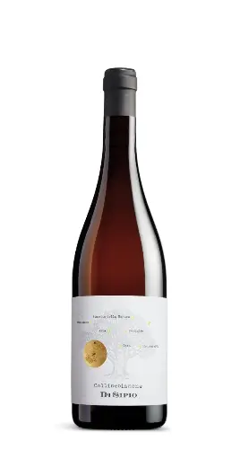 Di Sipio - Collinebianche 