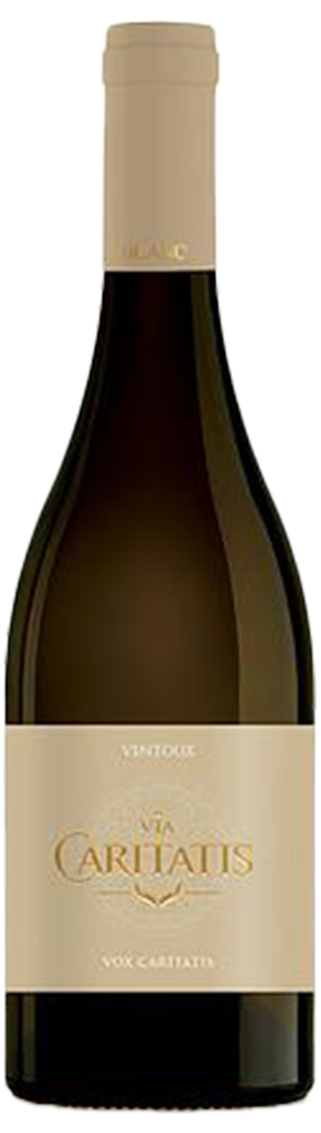 Caritatis - Vox Turturis Blanc