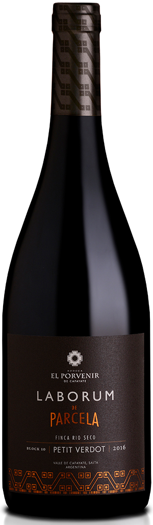 El Porvenir - Parcella Petit Verdot