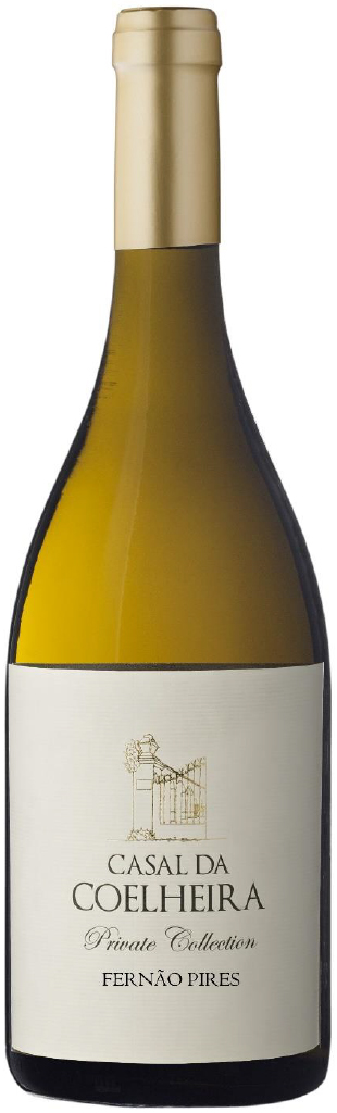 Casal Da Coelheira - Branco Fernao Pires
