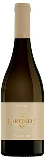 Caritatis - Vox Turturis